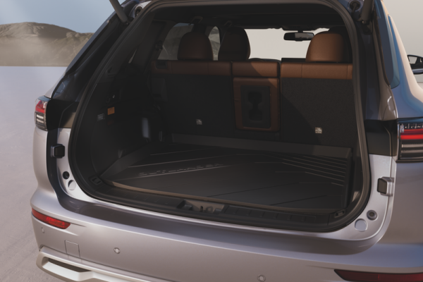 ПІДДОН БАГАЖНИКА